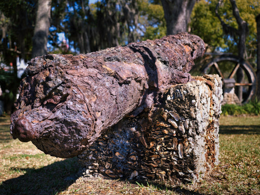 Even the Boring Things