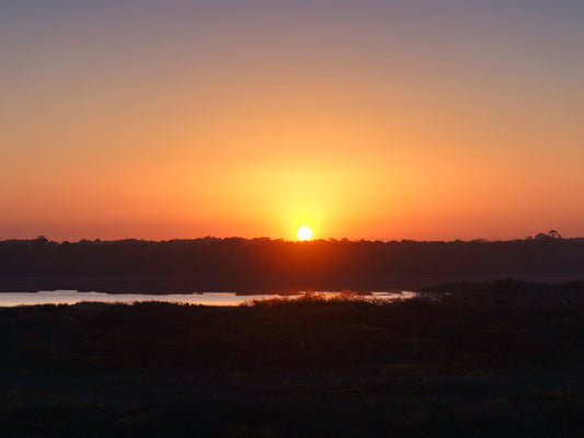 Marsh Magic at Golden Hour – Last Night’s Sunset Was Pure Fire!