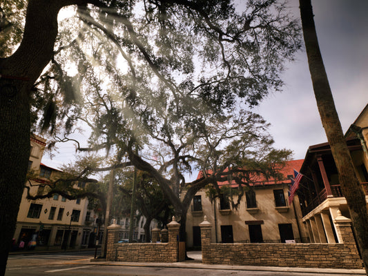 The Architecture of Light