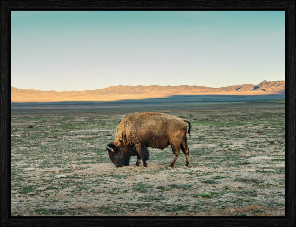 Main image Guardian of the Range