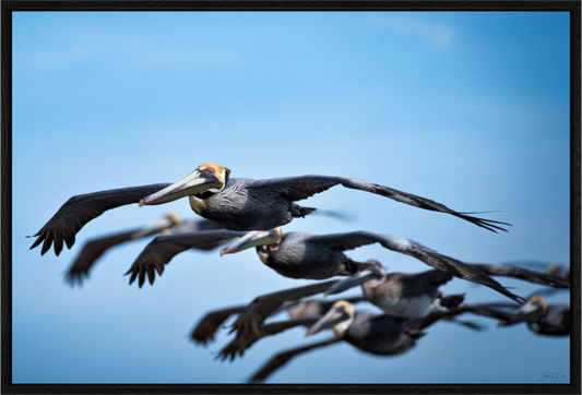 Main image Coastal Drift