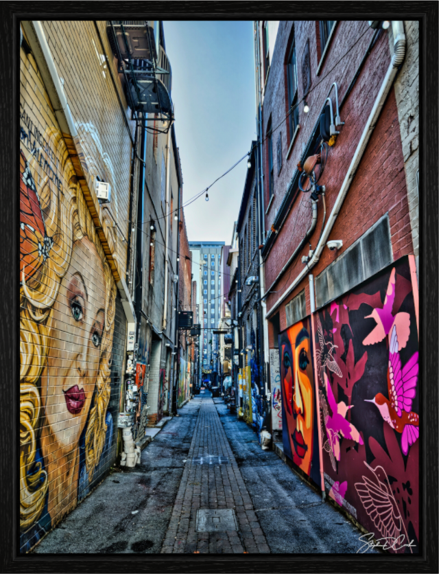 Main image Hidden Gallery